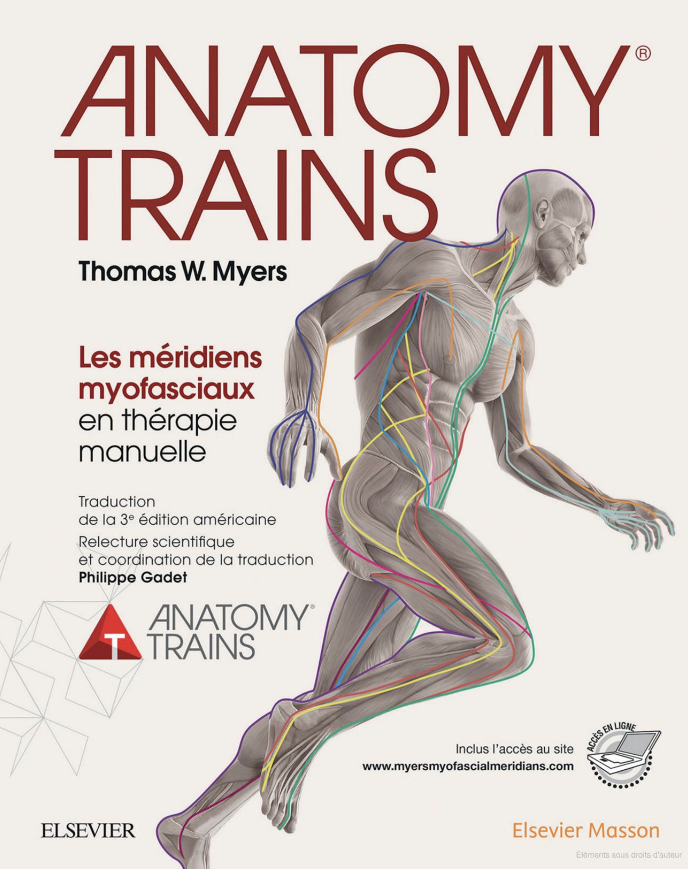 Couverture du livre Anatomy trains de Thomas W. Myers.